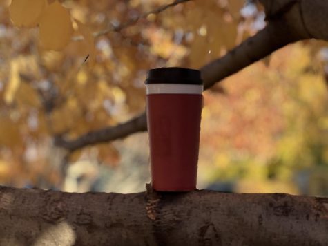 Reuse, recycle fall beverage cups
