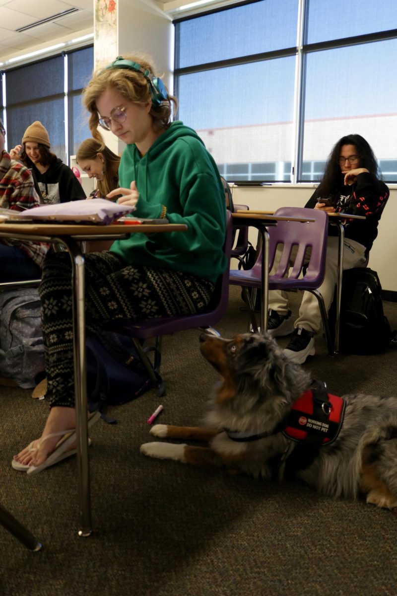 During her second period Graphic Novel class, senior Caira Adair draws panels to show the six different types of transitions as her dog Freckles watches her intently waiting for her next move. Freckles is a trained service dog, Adair depends on her to get through the day safely.